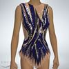 Picture of Leotard with Skirt, LS2001