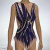 Picture of Leotard with Skirt, LS2001