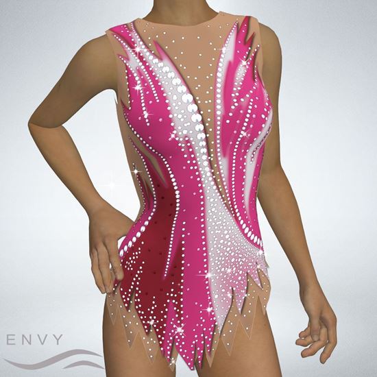 Envy Activewear Leotard With Skirt LS2003