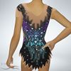 Picture of Leotard with Skirt, LS2101