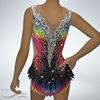 Picture of Leotard with Skirt, LS2204