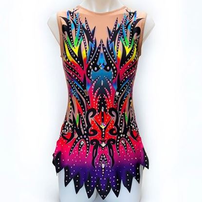 Picture for category Customisable Leotards