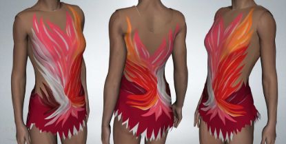 Picture of Leotard with Skirt, SLS0013