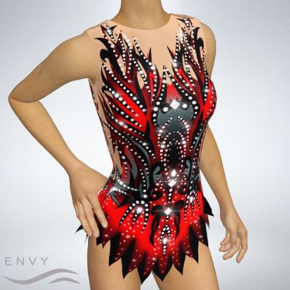 Picture of Leotard with Skirt, LS0009I