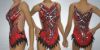 Picture of Leotard with Skirt, LS2203