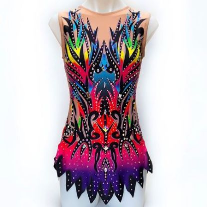 Picture for category Customisable Leotards